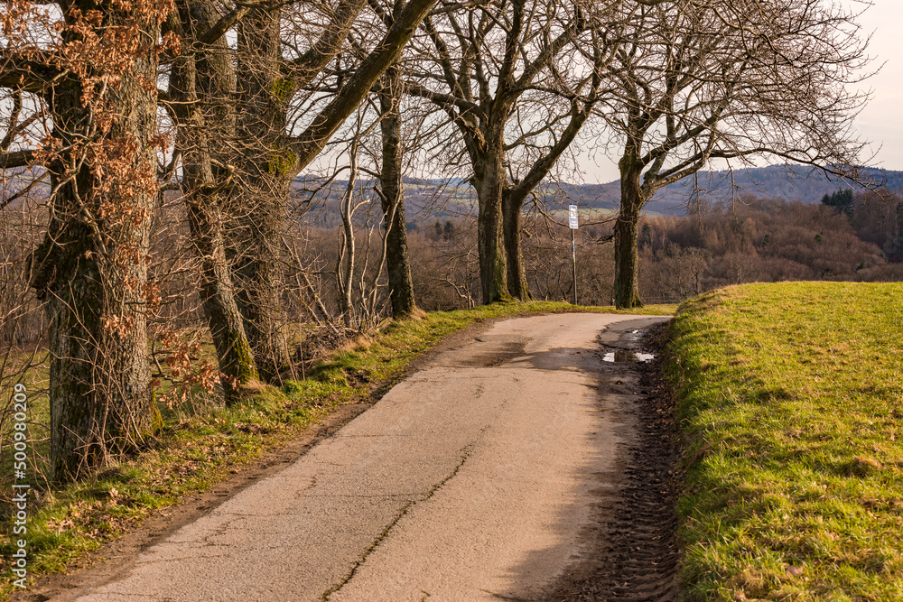 A tarmac dirt road leads over a hill past trees and offers a view