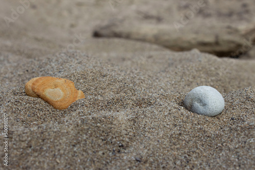 shell on the beach © Svyatoslav