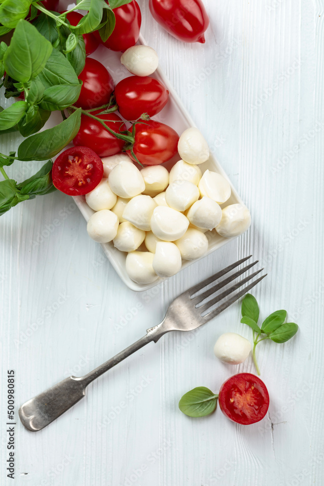 Mozzarella cheese with basil and tomatoes. Mozzarella cheese with basil and tomatoes.