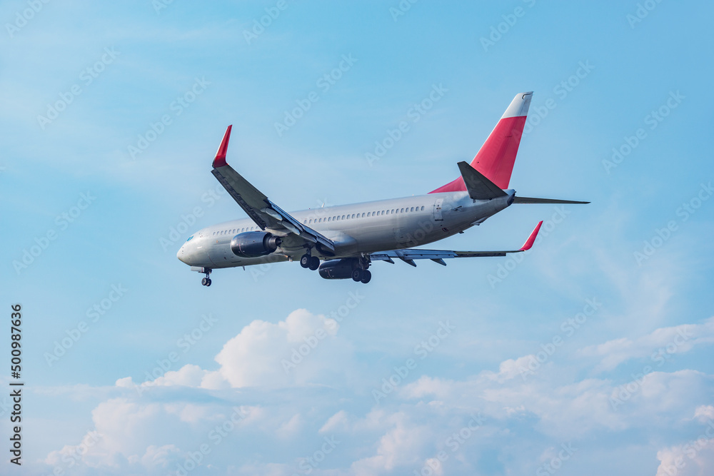 Obraz premium Landing of the passenger plane at sunset.