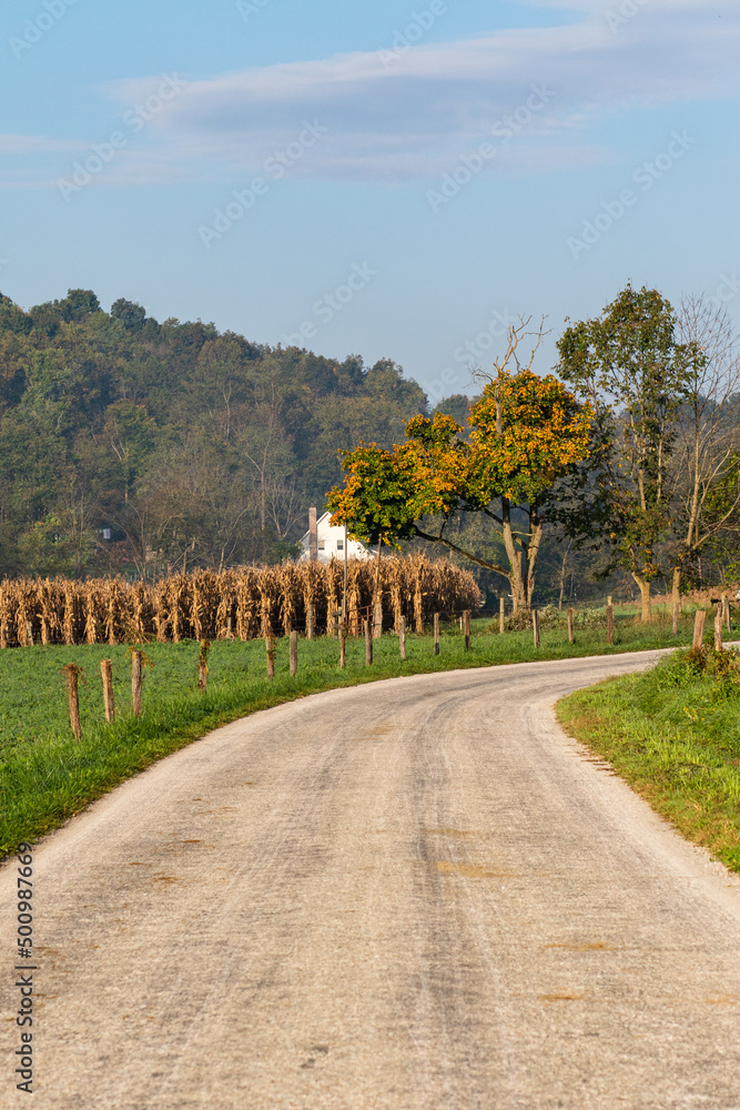 Country road winding beside a corn field | Amish Country, Ohio