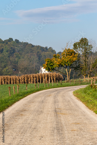 Country road winding beside a corn field   Amish Country  Ohio