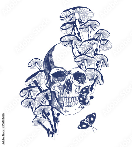 Print skull mushrooms and butterflies in vintage style, blue on white