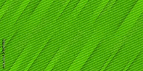Green banner with diagonal stripes pattern modern