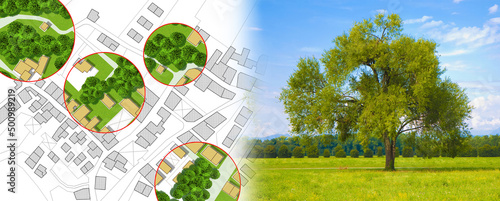 Fotografia Census of trees in cities -  green management and tree mapping concept with imag