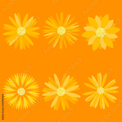 Set of orange flowers on orange background ideal for projects and decorations
