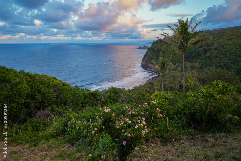 View of Pololu Valley with pink clouds at sunset in the Kohala Forest Reserve north of Big Island in Hawaii, United States View of Pololu Valley with pink clouds at sunset in the Kohala Forest Reserve north of Big Island in Hawaii, United States