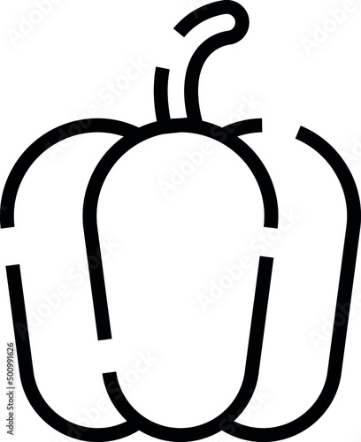 The bell pepper also known as sweet pepper