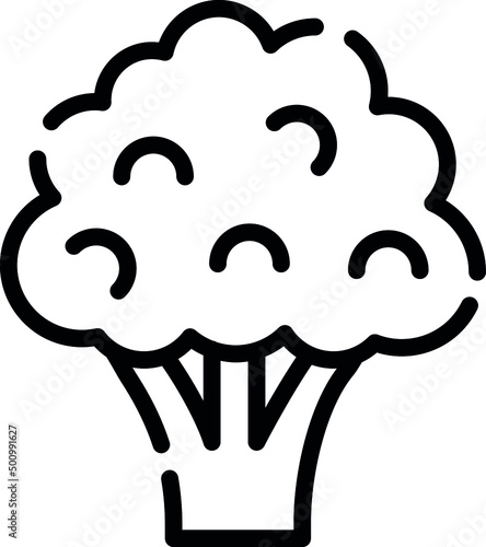 Broccoli is a cultivated variety of cabbage