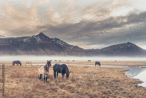 Iceland   © jacek swiercz