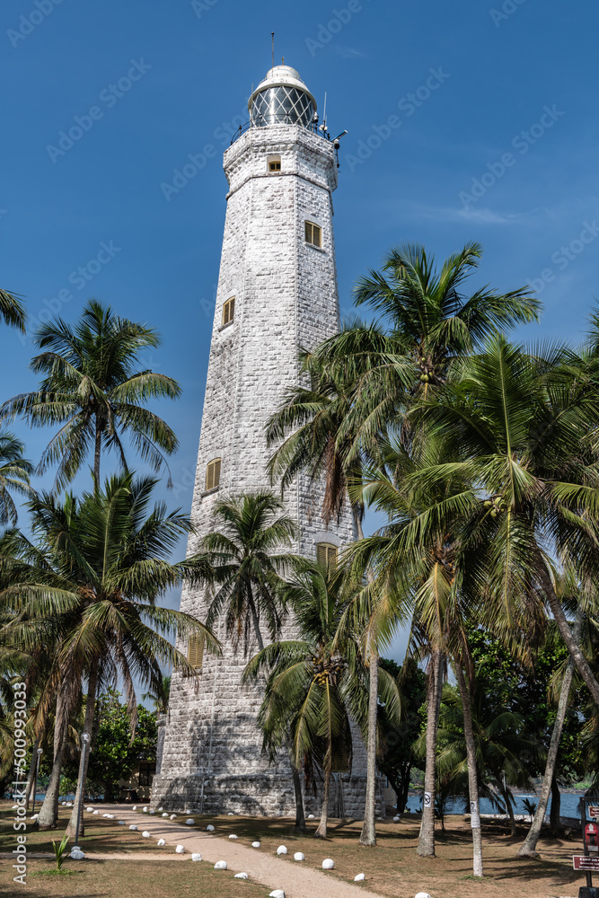 Ocean lighthouse surrounded by palm trees