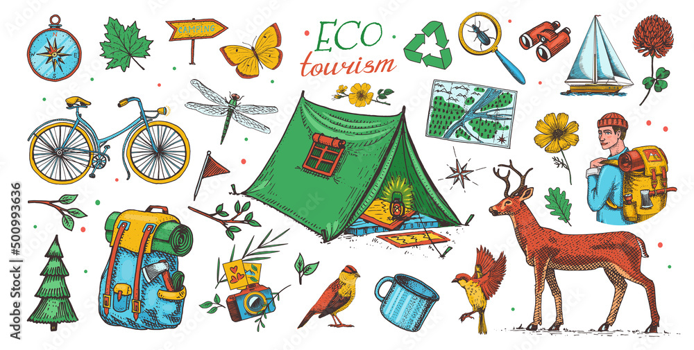 Fototapeta premium Eco tourism set. Eco friendly tourism. Tourist with backpack and tent. Wild nature. Bicycle, map, animals and plants. Hand drawn in vintage style. Vector illustration.