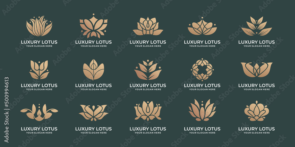 Floral ornament logo and icon set. Abstract beauty Loyus flower logo design collection. set lotus logo vector. design bundle inspiration. lotus flower, floral ornament logo, icon set, lotus logo.