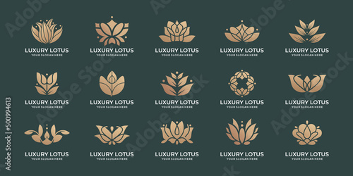 set lotus logo vector. design bundle inspiration. lotus flower, floral ornament logo, icon set, lotus logo.