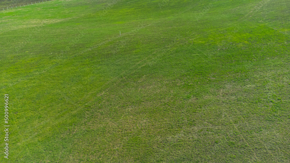 Pastures on the road to the mountains green alpine meadows. Shooting from a quadcopter. View from above. Drone photography.