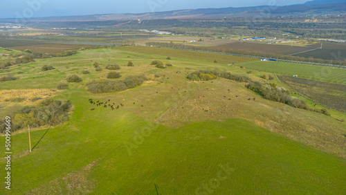 Pastures on the road to the mountains green alpine meadows. Shooting from a quadcopter. View from above. Drone photography.