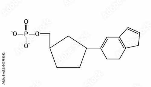 chemical structure of dna nucleotide