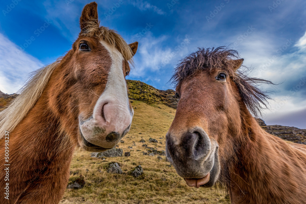 Obraz premium Iceland 