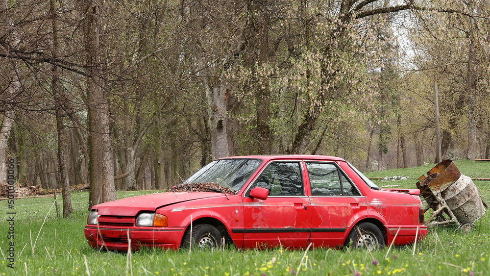Obraz na płótnie Stare auto porzucone w parku. Old car abandoned in the park.  w salonie