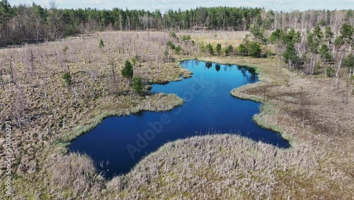 Aerial top view of National Park Swamp called Jacek near Warsaw, Poland, Europe photo