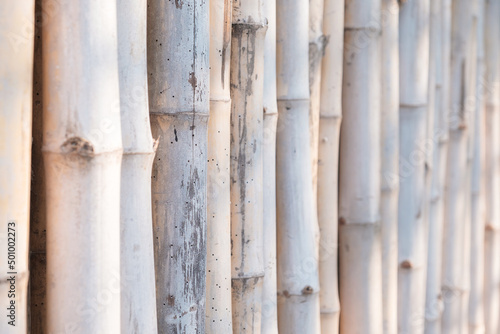 Closeup bamboo fence with shallow depth of field, bamboo trunk pattern as decorative wall and fence, pale brown tone with partly sunlight, as background for simplicity or modesty concept