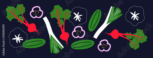 Abstract appetizing Vegetables collection. Decorative abstract horizontal banner with colorful doodles. Hand-drawn modern illustrations with Vegetables, abstract elements. Beat, onion, pepper slice