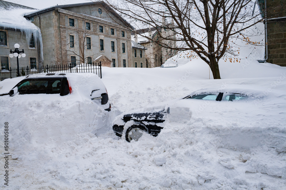 Cars completely covered with snow in Quebec city