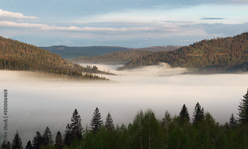 View of foggy valley between Carpathian mountains in Ukraine