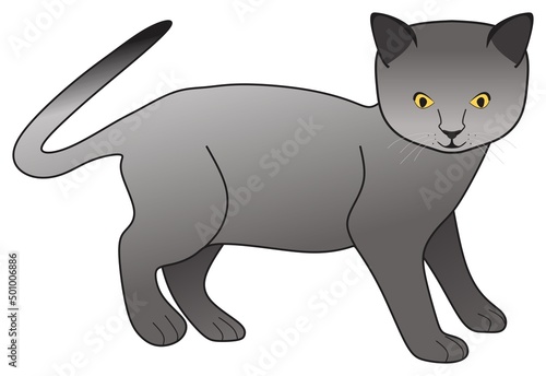 kitty grey shorthair british cat vector drawing on isolated white background cute comic mammal animal character pet pose love concept logo sign icon symbol illustration gray funny happy face kitten