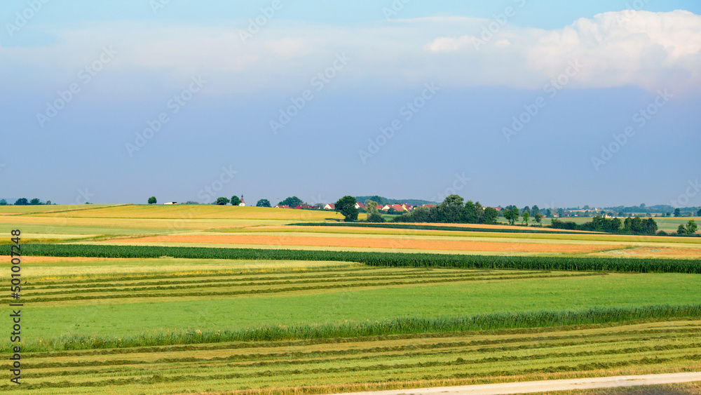 Fototapeta premium Richly colored farm fields in Bavaria, Germany..