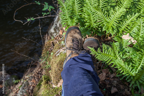 Trekker feet resting between fresh ferns