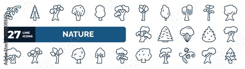 set of nature web icons in outline style. thin line icons such as black cherry tree, black walnut tree, american elm tree, pitch pine white spruce white oak eastern cottonwood hawthorn vector.