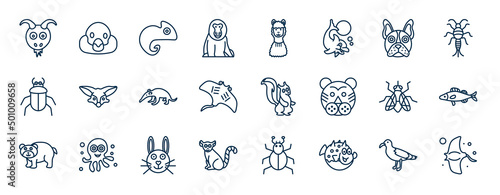 set of animals web icons in outline style. thin line icons such as goat, baboon, bulldog, fennec fox, skunk, zander, rabbit, globe fish vector. photo