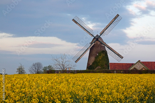 Bild auf Leinwand Westhoyel windmill in Melle Lower Saxony