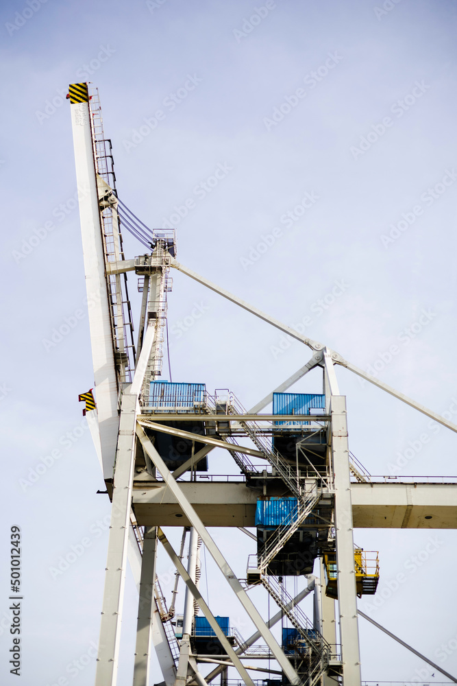 crane on the site crane on the site