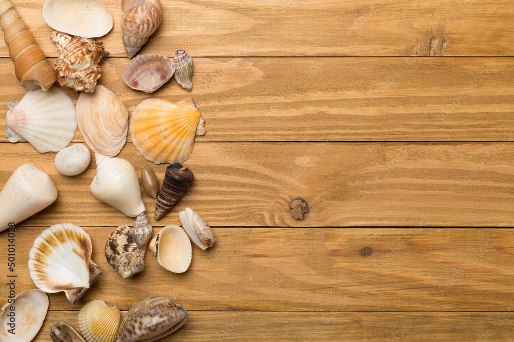 Sea shells on wooden background, top view. Summer concept