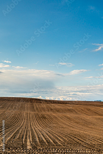 clouds on a sunny summer day over agricultural fields. A beautiful hilly field plowed before sowing various cereals, grain, wheat and rye.