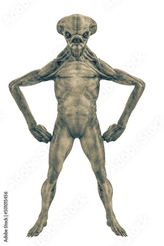 Fényképezés hammerhead alien exploring arround