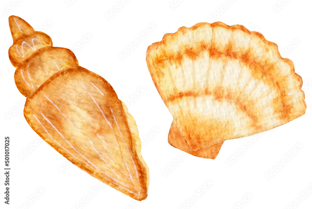 Watercolor set summer several seashells in warm tones. Summer elements for cards, summer banners and posters, etc. Watercolor set summer several seashells in warm tones. Summer elements for cards, summer banners and posters, etc.