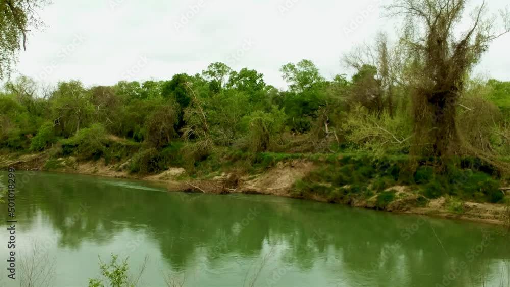 Green murky water Green murky water