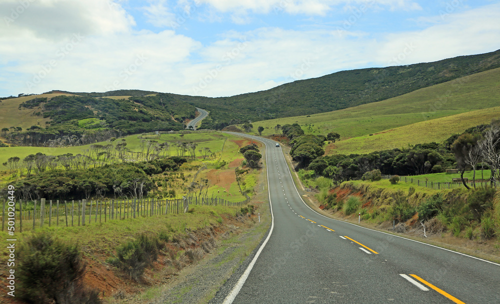 Cape Reinga road  - New Zealand