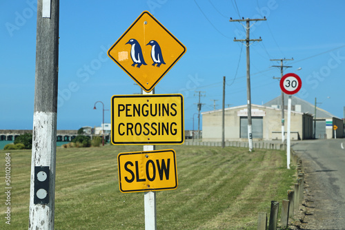 Penguin sign - New Zealand