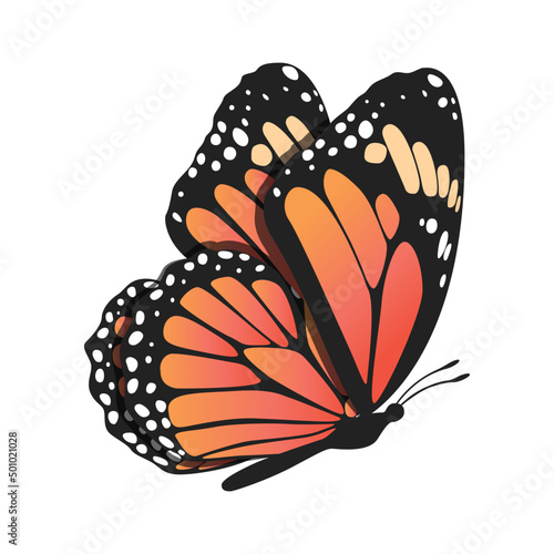 Fotografie, Obraz Monarch Butterfly, Butterfly Icon, Butterfly Set, Butterfly Vector, Wildlife Ani