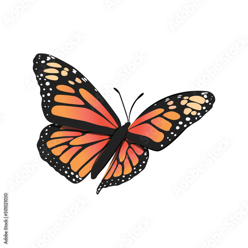 Monarch Butterfly  Butterfly Icon  Butterfly Set  Butterfly Vector  Wildlife Animals  Vector Illustration Background