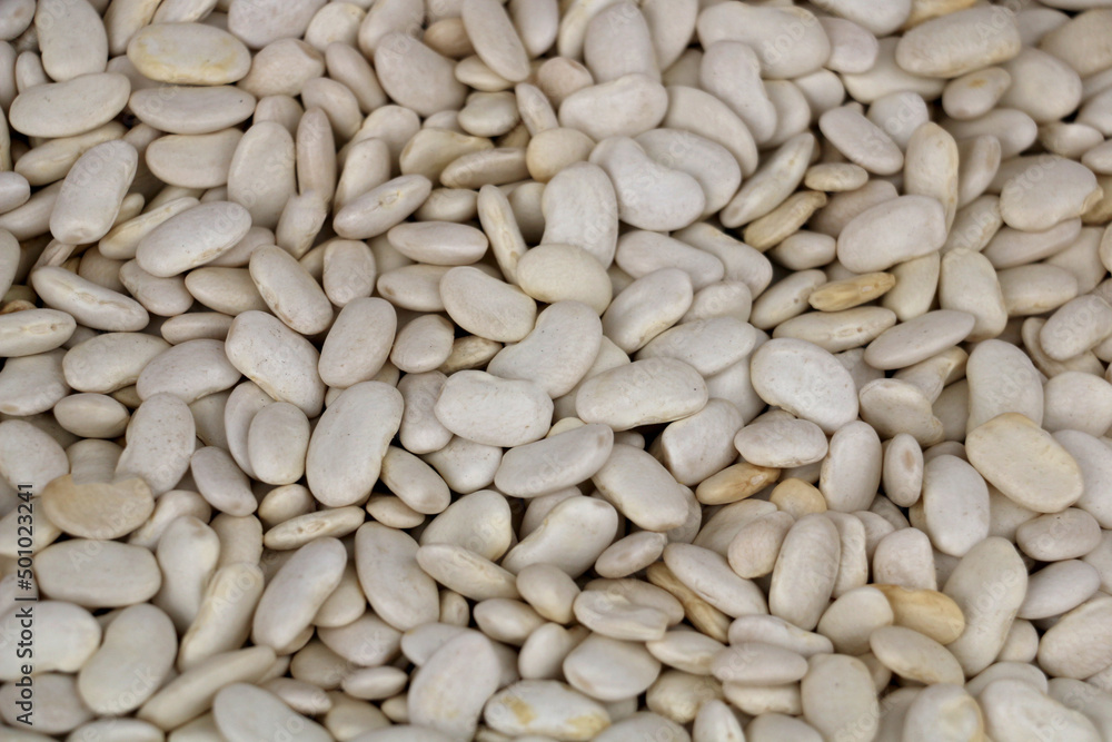 Dry beans grown with organic fertilizer produced by villagers in Turkey. background Dry beans grown with organic fertilizer produced by villagers in Turkey. background