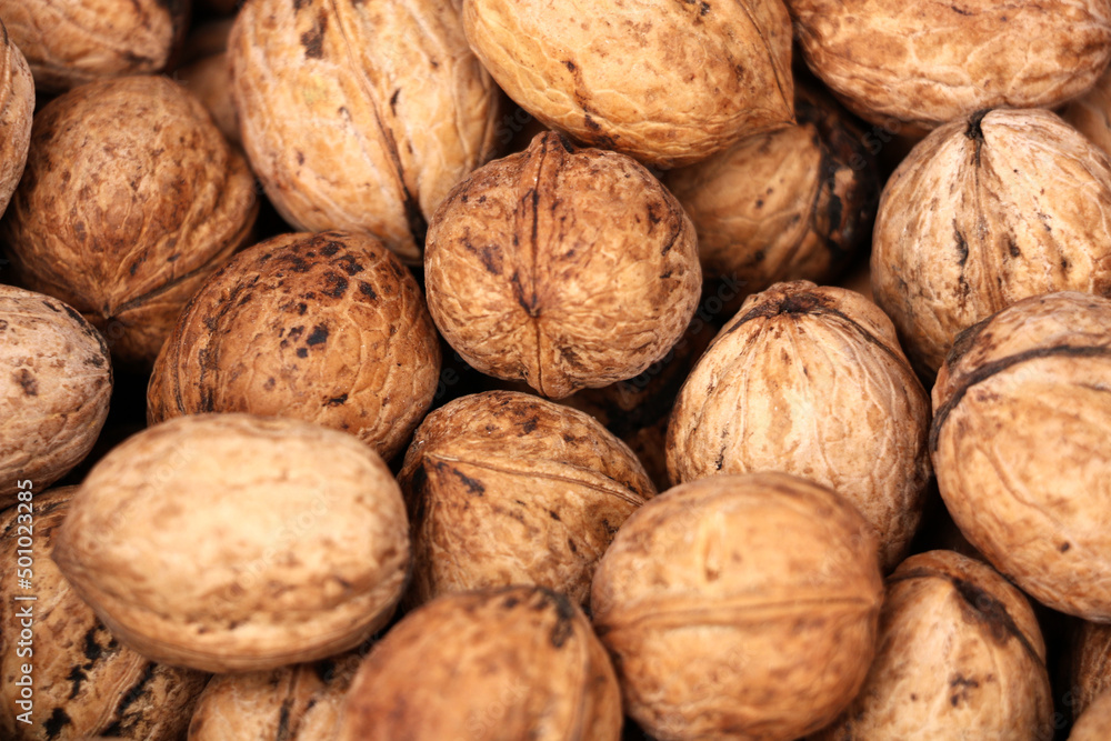 Walnut grown with organic fertilizer produced by villagers in Turkey. background Walnut grown with organic fertilizer produced by villagers in Turkey. background
