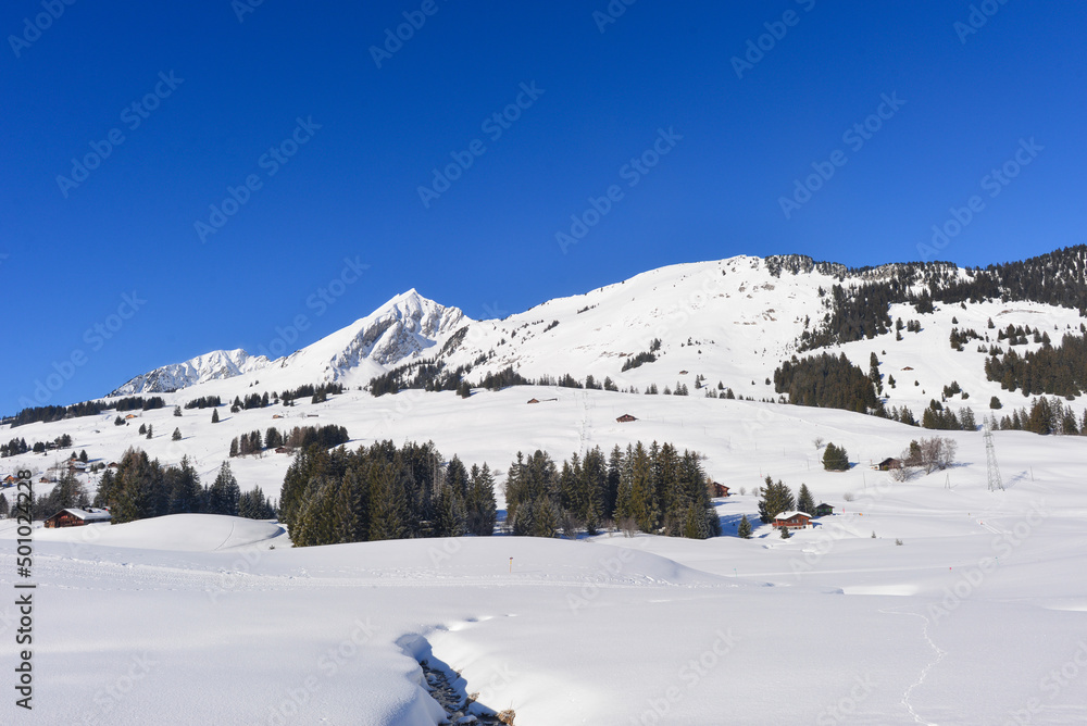 Wintersportort Les Mosses auf dem Passübergang des Col des Mosses / Ormont-Dessous, Kanton Waadt, Schweiz