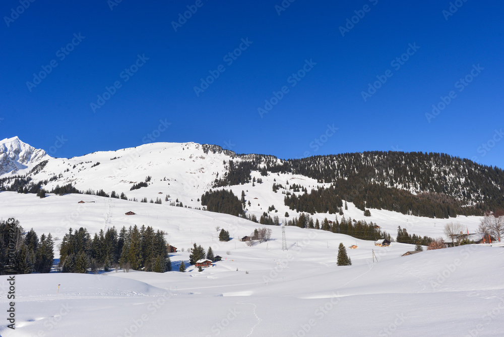 Wintersportort Les Mosses auf dem Passübergang des Col des Mosses / Ormont-Dessous, Kanton Waadt, Schweiz