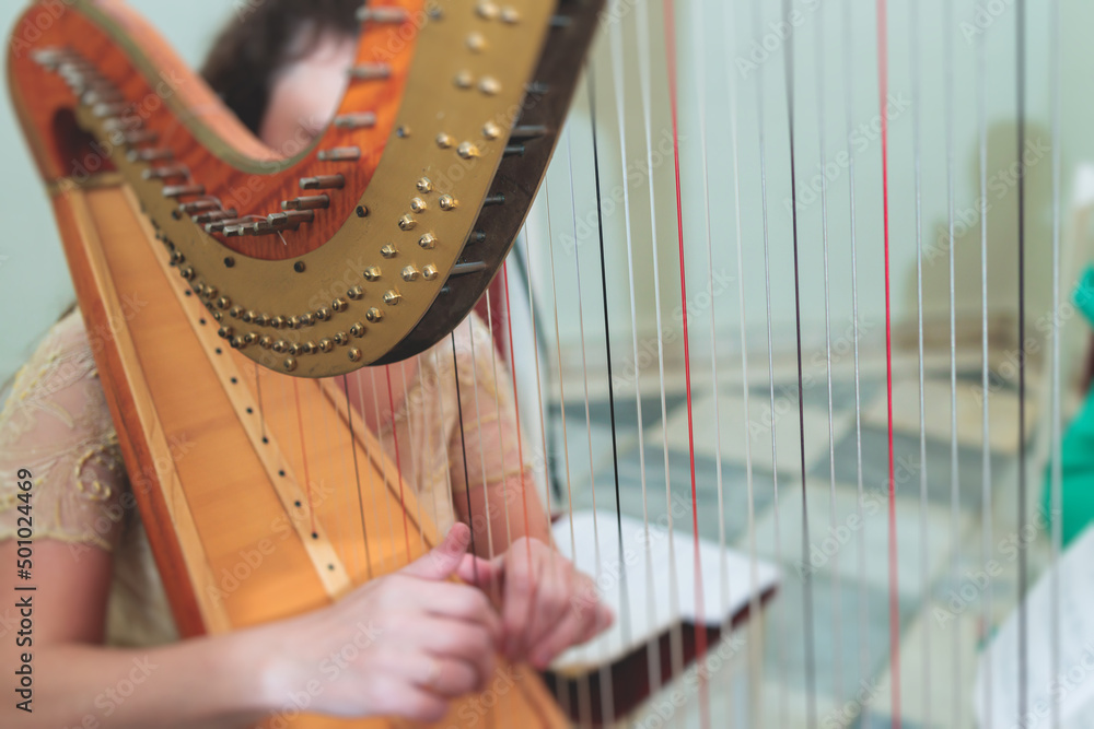 Obraz premium Female musician harpist playing wooden harp during symphonic concert on a stage, with other musicians in the background, close up hands of the woman playing decachord