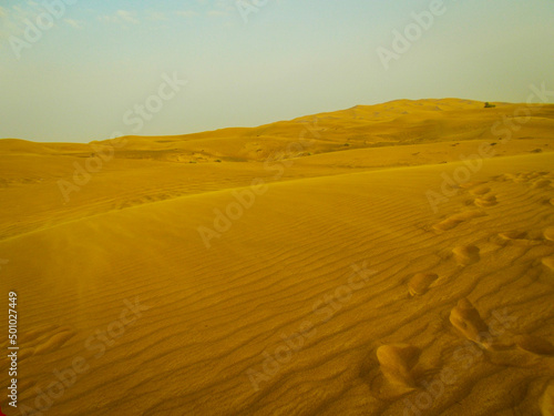 sand dunes in the desert © Rebecca